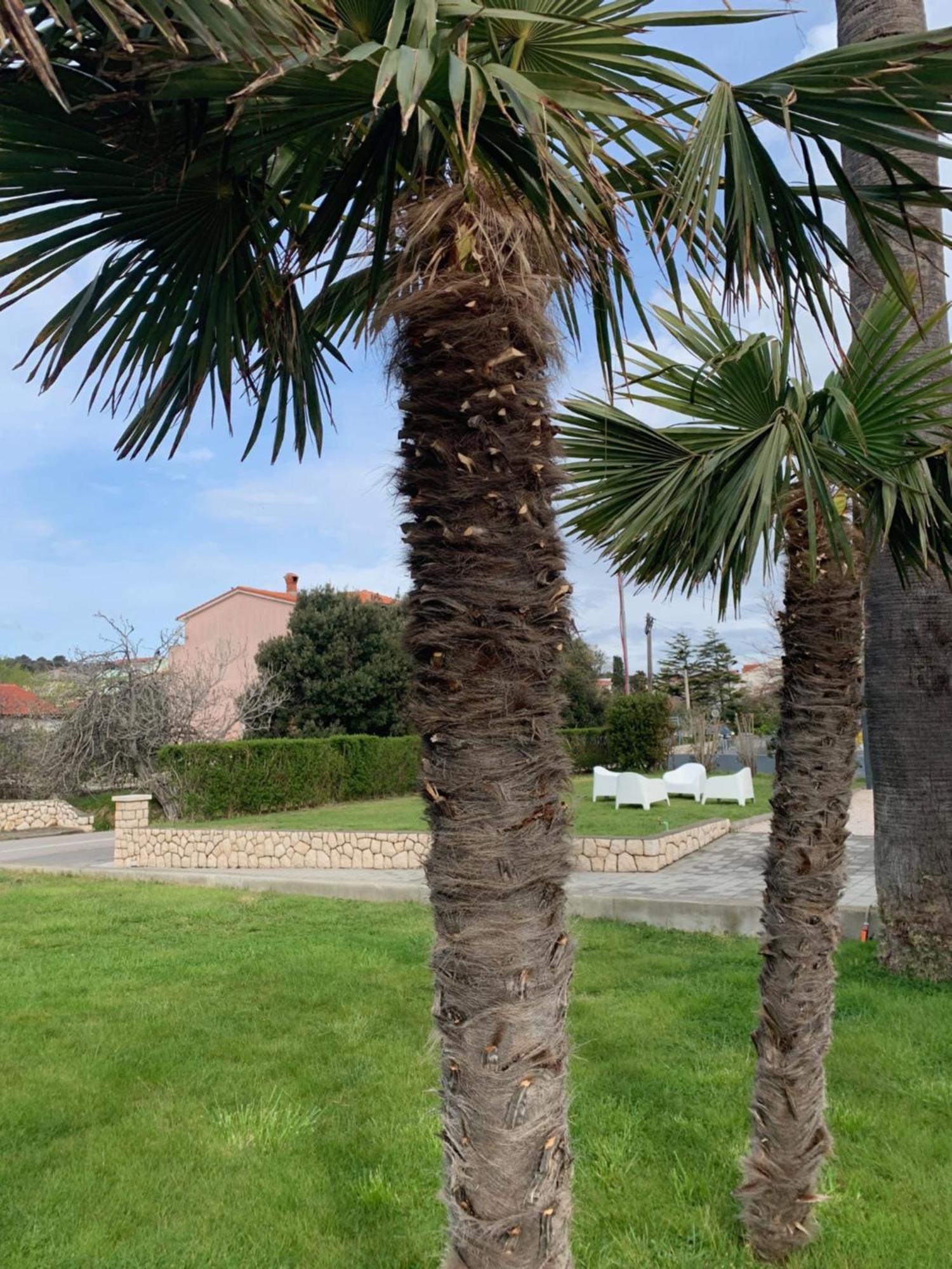 Rab Island Apartmets - Palit Rab Town Kültér fotó